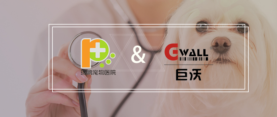 【醫(yī)藥】巨沃科技簽約行業(yè)龍頭瑞鵬寵物醫(yī)療集團